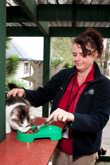 Vicki Whitaker and cat